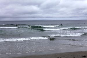 surfers at Higgins Beach